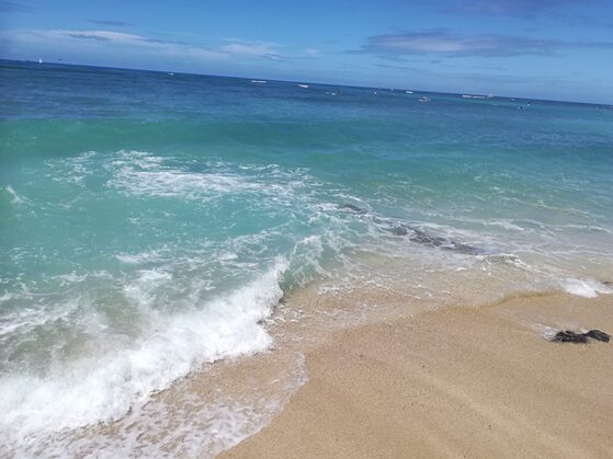 ハワイの海の癒し画像