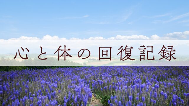 【肌と心の回復記録】酒さ・肌荒れ・不調から立ち直った私の体験談まとめ