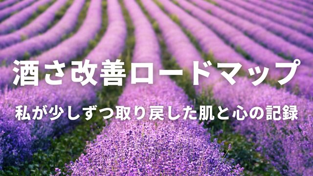 酒さの改善ステップを紹介するまとめページのイメージ