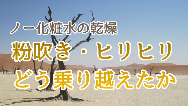 枯れた木が数本立つ砂漠の写真