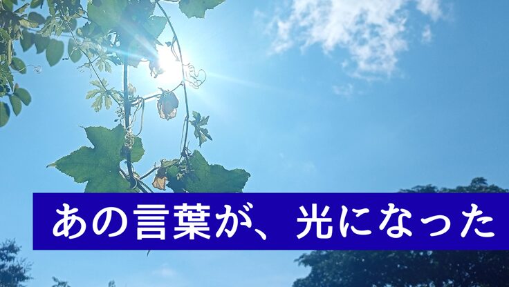 木漏れ日のような光｜酒さで傷ついた言葉・救われた言葉の体験談記事