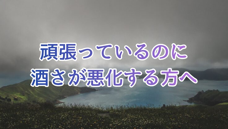 曇り空の写真