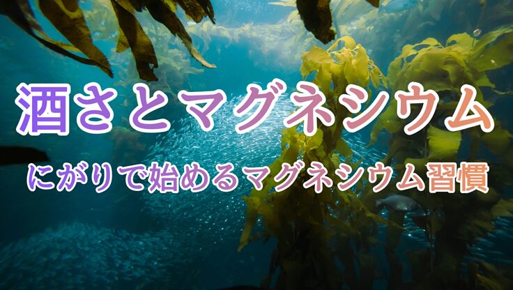 海底に広がるわかめのイメージ