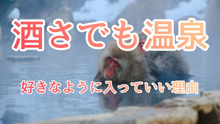 温泉に浸かる猿のイメージ画像｜酒さでも気にせず温泉を楽しむ私の体験談